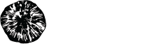 Matsutake Network